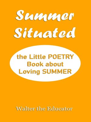 cover image of Summer Situated